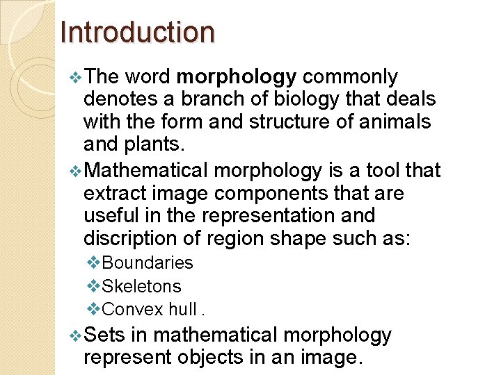 Introduction v. The word morphology commonly denotes a branch of biology that deals with