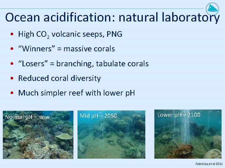 Ocean acidification: natural laboratory • High CO 2 volcanic seeps, PNG • “Winners” =