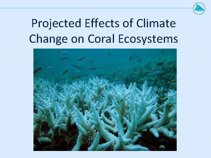 Projected Effects of Climate Change on Coral Ecosystems 