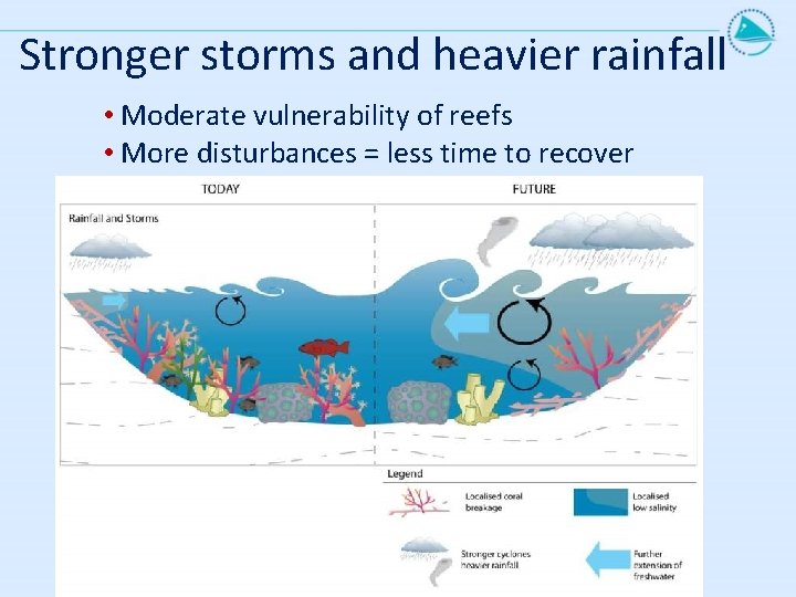 Stronger storms and heavier rainfall • Moderate vulnerability of reefs • More disturbances =