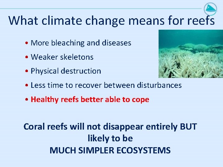 What climate change means for reefs • More bleaching and diseases • Weaker skeletons