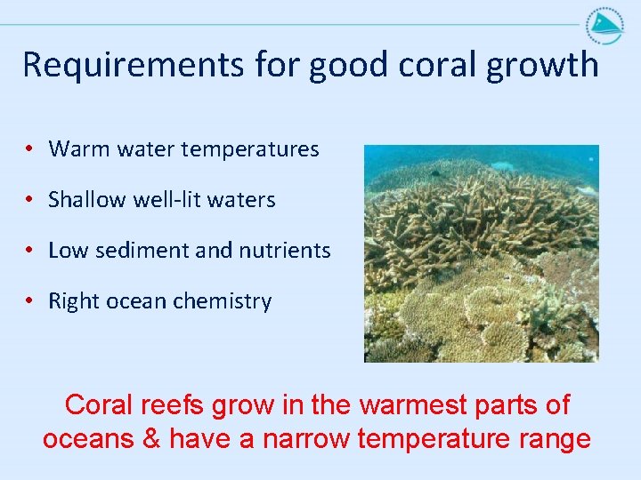 Requirements for good coral growth • Warm water temperatures • Shallow well-lit waters •
