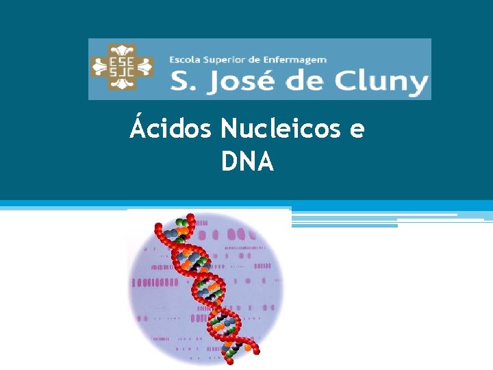 Ácidos Nucleicos e DNA 