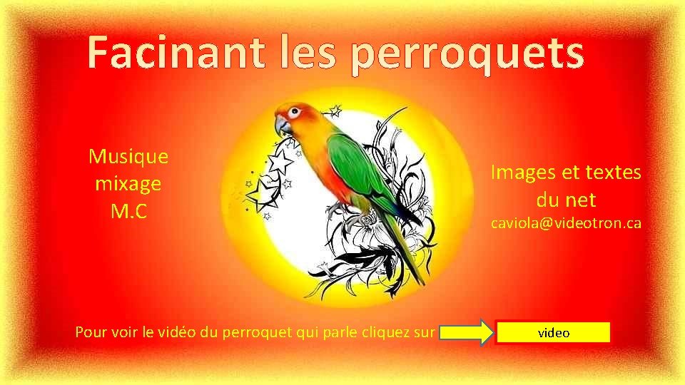 Musique mixage M. C Pour voir le vidéo du perroquet qui parle cliquez sur