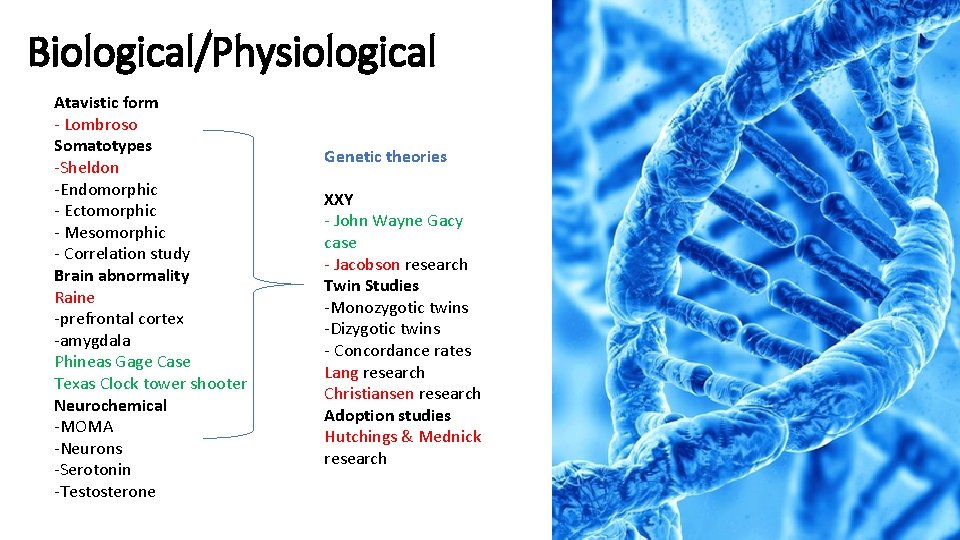 Biological/Physiological Atavistic form - Lombroso Somatotypes -Sheldon -Endomorphic - Ectomorphic - Mesomorphic - Correlation