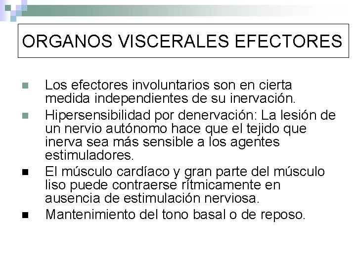 ORGANOS VISCERALES EFECTORES n n Los efectores involuntarios son en cierta medida independientes de