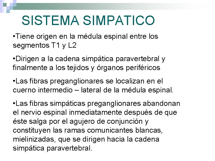 SISTEMA SIMPATICO • Tiene origen en la médula espinal entre los segmentos T 1