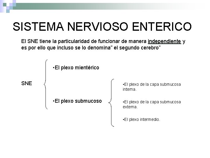 SISTEMA NERVIOSO ENTERICO El SNE tiene la particularidad de funcionar de manera independiente y