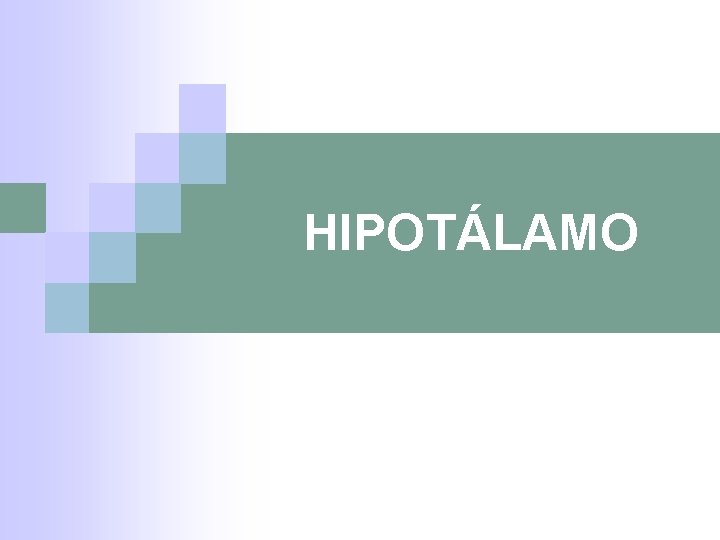HIPOTÁLAMO 