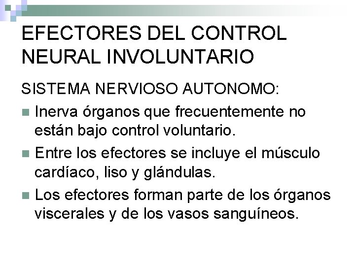 EFECTORES DEL CONTROL NEURAL INVOLUNTARIO SISTEMA NERVIOSO AUTONOMO: n Inerva órganos que frecuentemente no