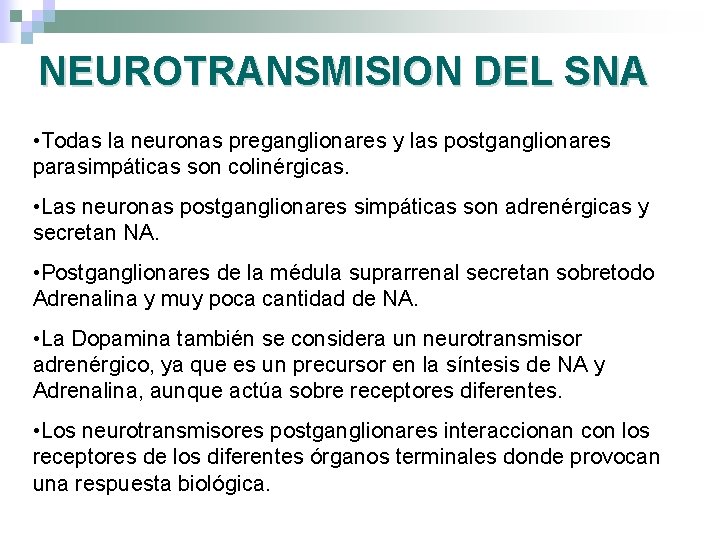 NEUROTRANSMISION DEL SNA • Todas la neuronas preganglionares y las postganglionares parasimpáticas son colinérgicas.