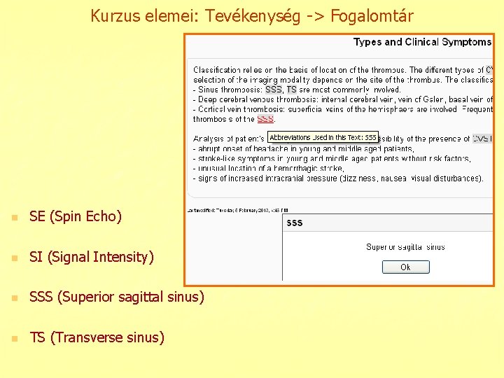 Kurzus elemei: Tevékenység -> Fogalomtár n SE (Spin Echo) n SI (Signal Intensity) n