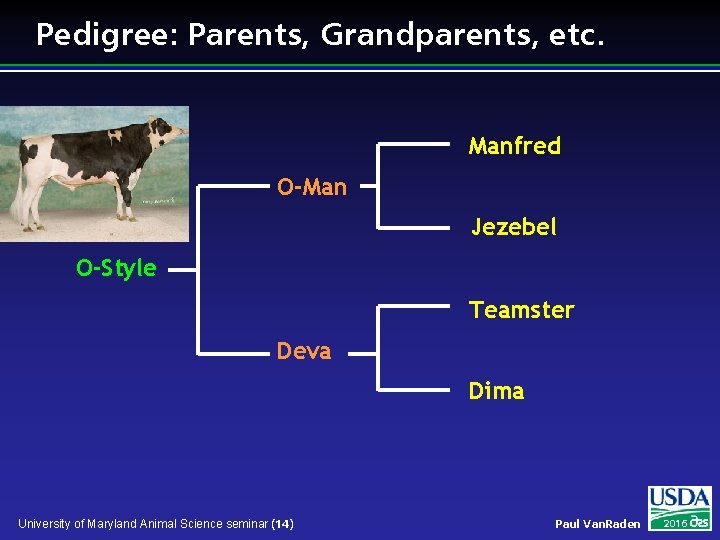 Pedigree: Parents, Grandparents, etc. Manfred O-Man Jezebel O-Style Teamster Deva Dima University of Maryland