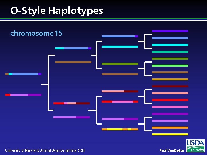 O-Style Haplotypes chromosome 15 University of Maryland Animal Science seminar (15) Paul Van. Raden