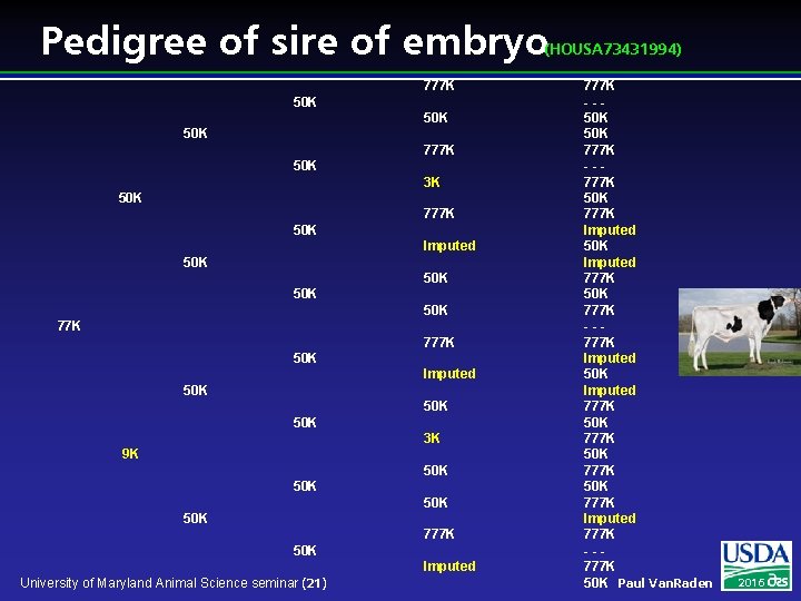 Pedigree of sire of embryo (HOUSA 73431994) 777 K 50 K 50 K 777