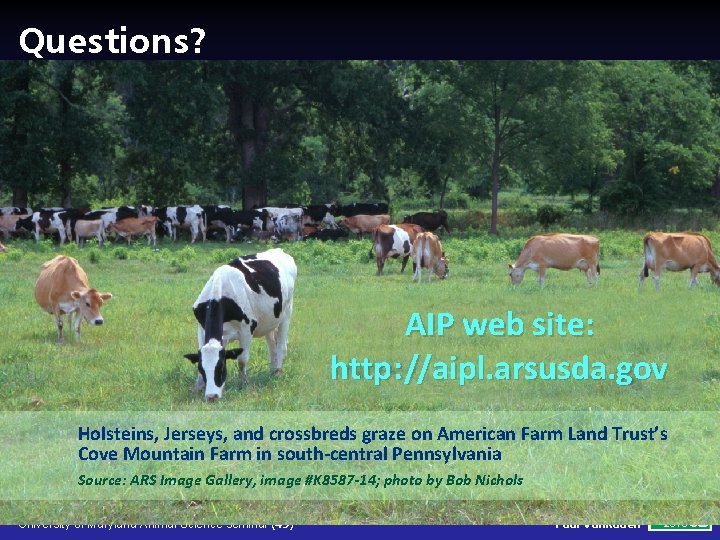 Questions? AIP web site: http : //aipl. arsusda. gov Holsteins, Jerseys, and crossbreds graze