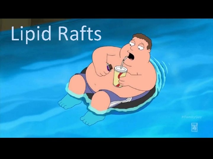 Lipid Rafts 