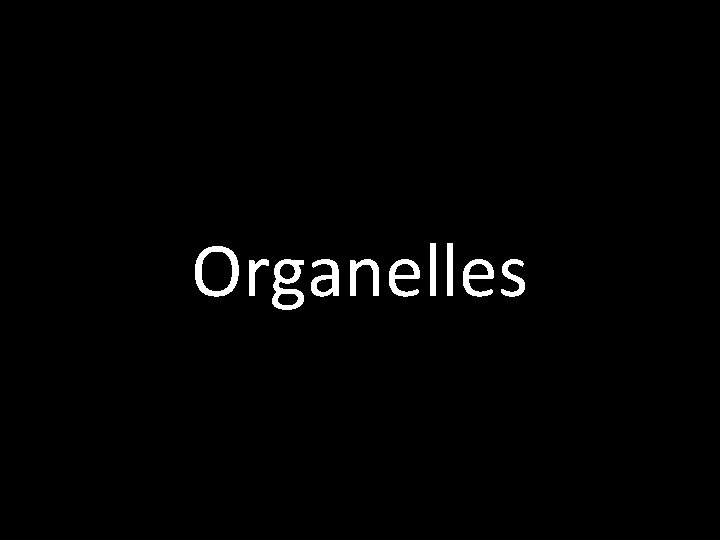 Organelles 