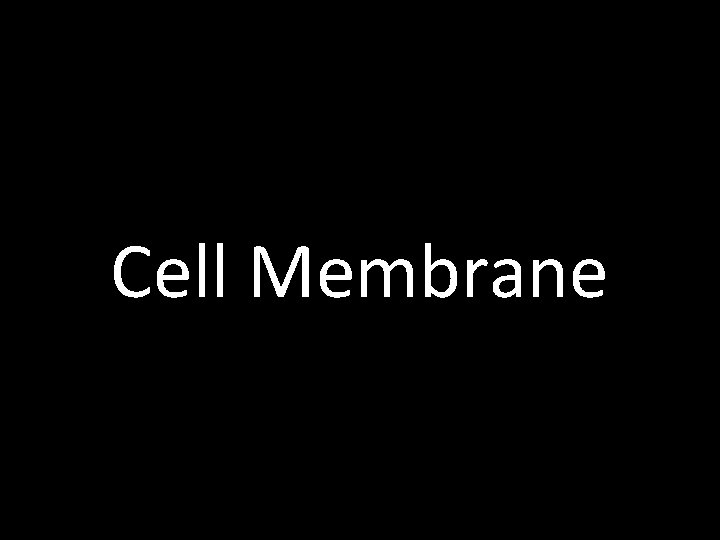 Cell Membrane 