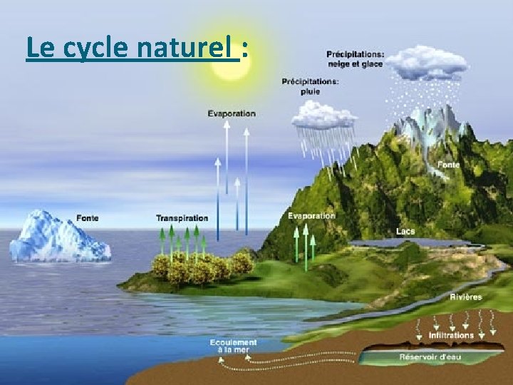 Le cycle naturel : 