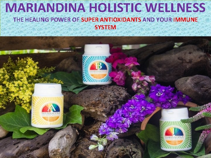 MARIANDINA HOLISTIC WELLNESS THE HEALING POWER OF SUPER ANTIOXIDANTS AND YOUR IMMUNE SYSTEM MARIANDINA HOLISTIC WELLNESS THE HEALING POWER OF SUPER ANTIOXIDANTS AND YOUR IMMUNE SYSTEM