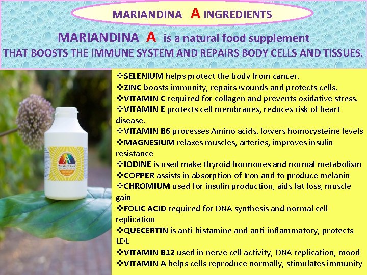 MARIANDINA A INGREDIENTS MARIANDINA A is. LLL a natural food supplement THAT BOOSTS THE MARIANDINA A INGREDIENTS MARIANDINA A is. LLL a natural food supplement THAT BOOSTS THE
