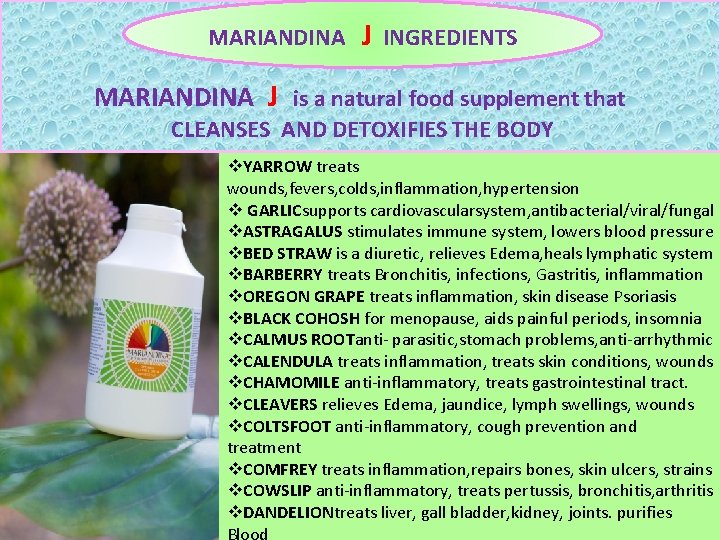 MARIANDINA J INGREDIENTS MARIANDINA J is a natural food supplement that CLEANSES AND DETOXIFIES MARIANDINA J INGREDIENTS MARIANDINA J is a natural food supplement that CLEANSES AND DETOXIFIES