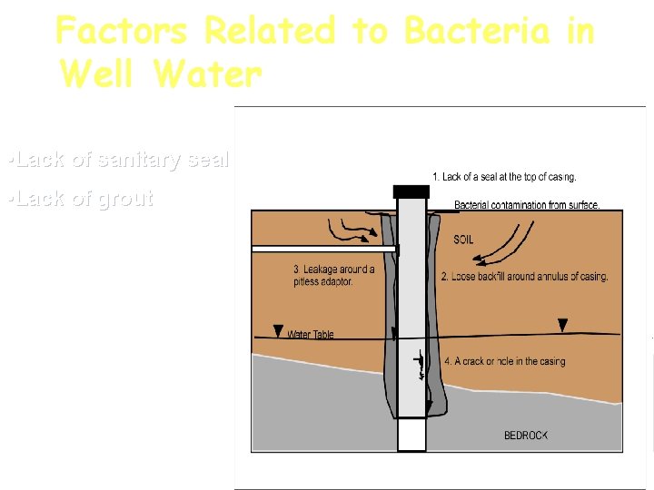 Factors Related to Bacteria in Well Water • Lack of sanitary seal • Lack