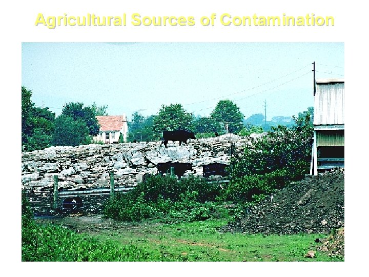 Agricultural Sources of Contamination 