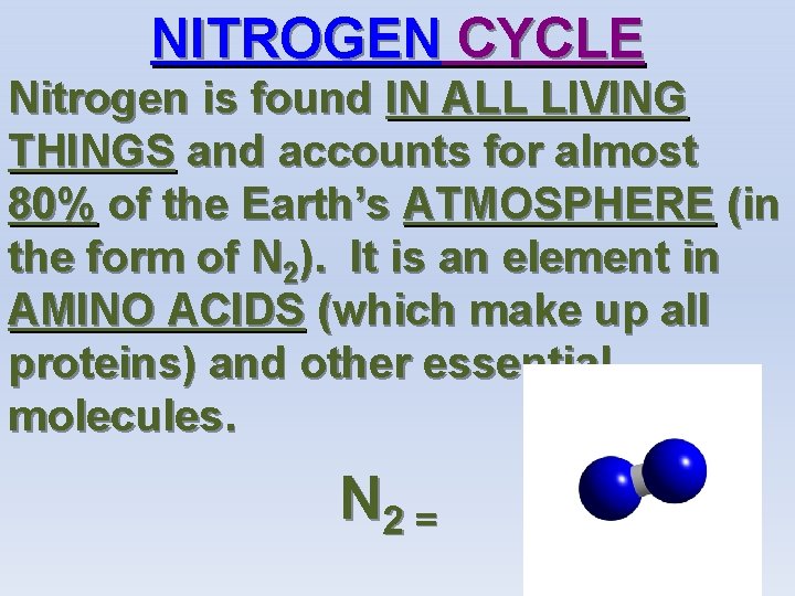 NITROGEN CYCLE Nitrogen is found IN ALL LIVING THINGS and accounts for almost 80%