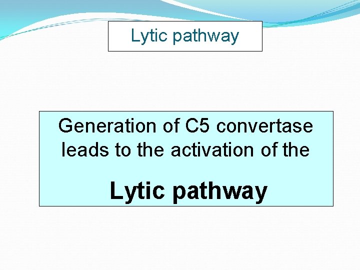 Lytic pathway Generation of C 5 convertase leads to the activation of the Lytic