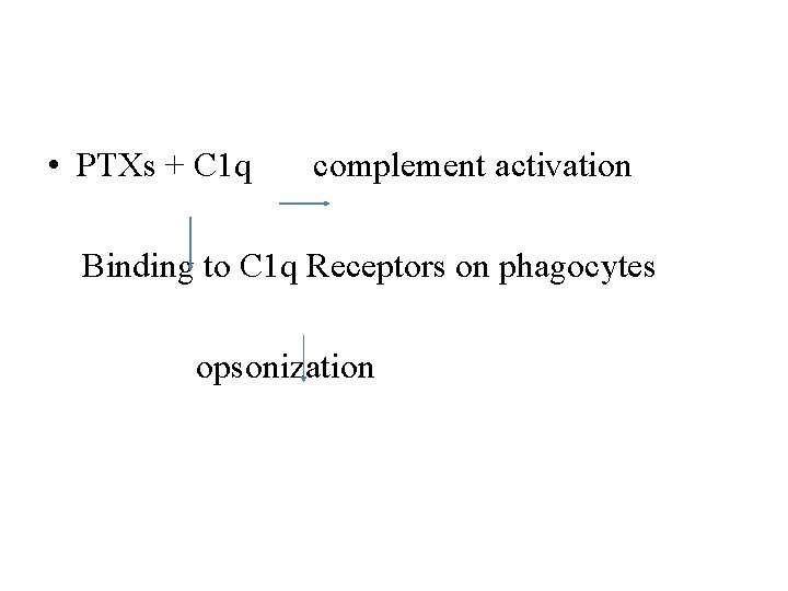  • PTXs + C 1 q complement activation Binding to C 1 q
