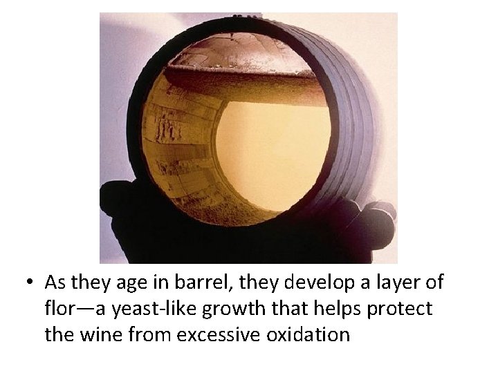  • As they age in barrel, they develop a layer of flor—a yeast-like