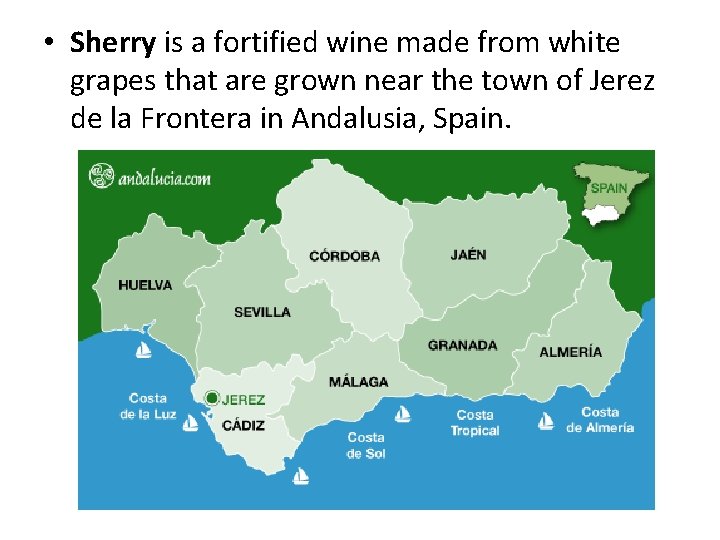  • Sherry is a fortified wine made from white grapes that are grown
