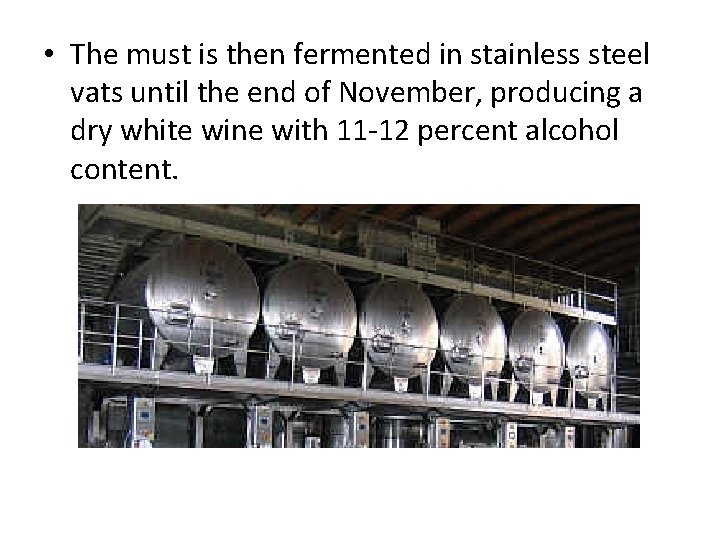  • The must is then fermented in stainless steel vats until the end