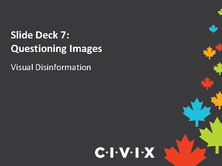 Slide Deck 7: Questioning Images Visual Disinformation 
