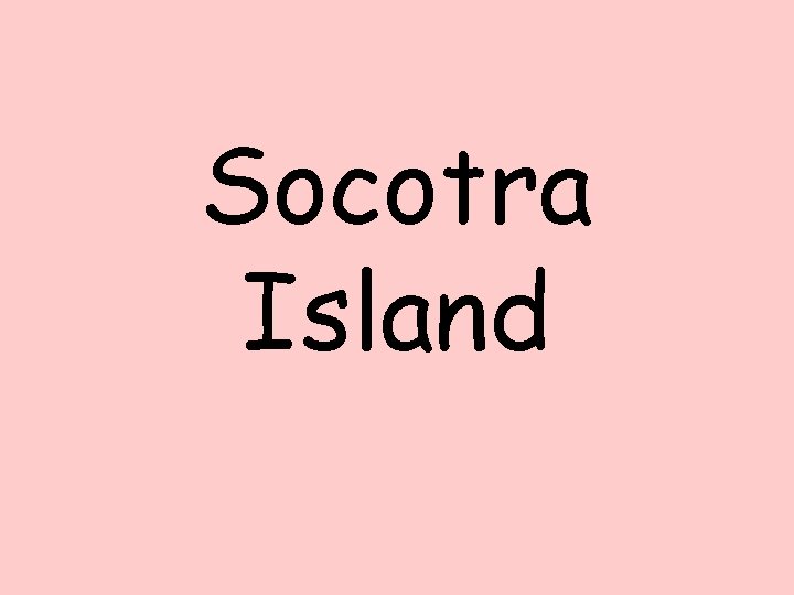Socotra Island 