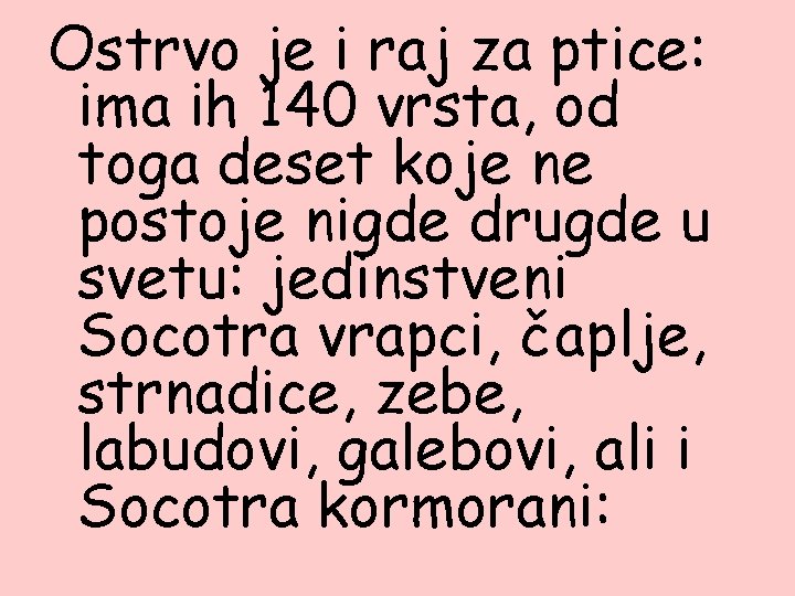 Ostrvo je i raj za ptice: ima ih 140 vrsta, od toga deset koje