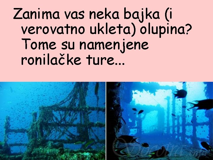 Zanima vas neka bajka (i verovatno ukleta) olupina? Tome su namenjene ronilačke ture. .