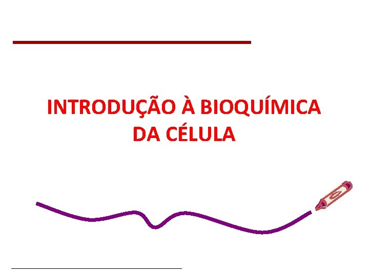 INTRODUÇÃO À BIOQUÍMICA DA CÉLULA Bioquímica Celular – Prof. Júnior 