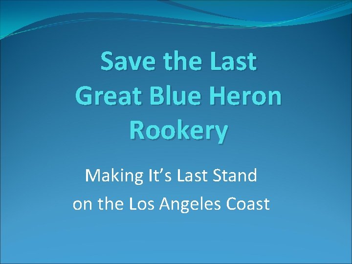 Save the Last Great Blue Heron Rookery Making It’s Last Stand on the Los