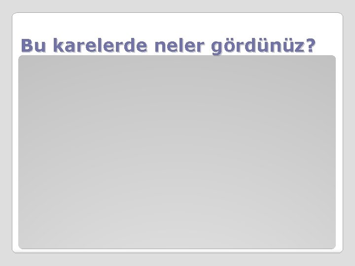 Bu karelerde neler gördünüz? 