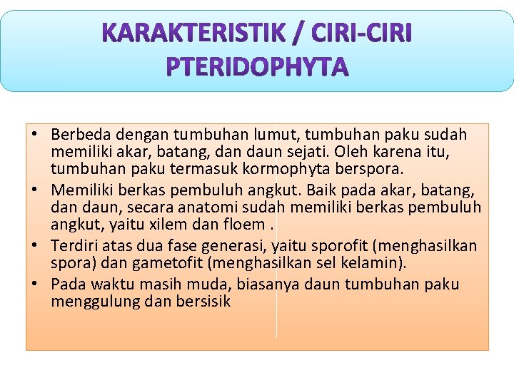  • Berbeda dengan tumbuhan lumut, tumbuhan paku sudah memiliki akar, batang, dan daun