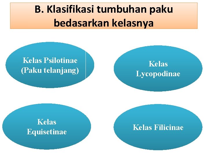 B. Klasifikasi tumbuhan paku bedasarkan kelasnya Kelas Psilotinae (Paku telanjang) Kelas Equisetinae Kelas Lycopodinae