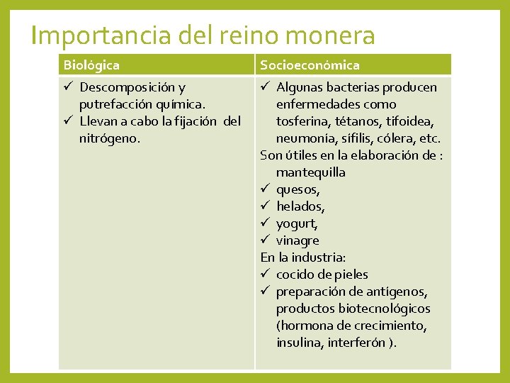 Importancia del reino monera Biológica Socioeconómica ü Descomposición y putrefacción química. ü Llevan a