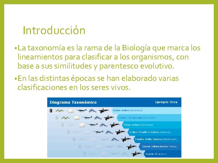 Introducción • La taxonomía es la rama de la Biología que marca los lineamientos