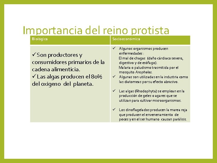 Importancia del reino protista Biológica üSon productores y consumidores primarios de la cadena alimenticia.