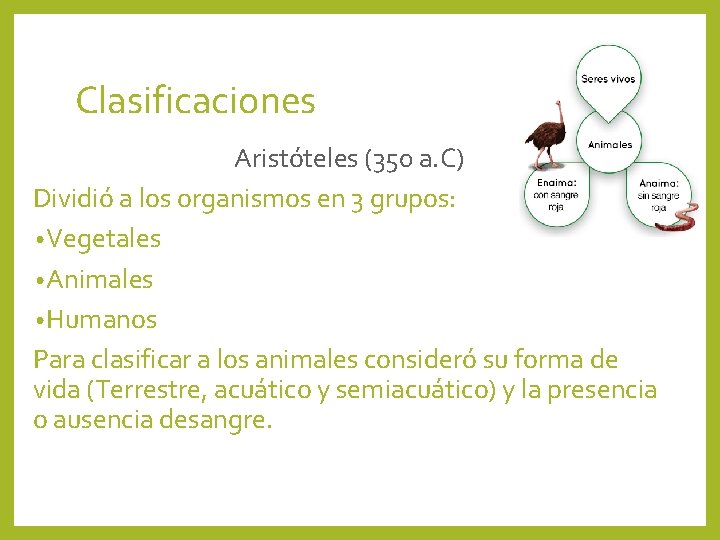 Clasificaciones Aristóteles (350 a. C) Dividió a los organismos en 3 grupos: • Vegetales