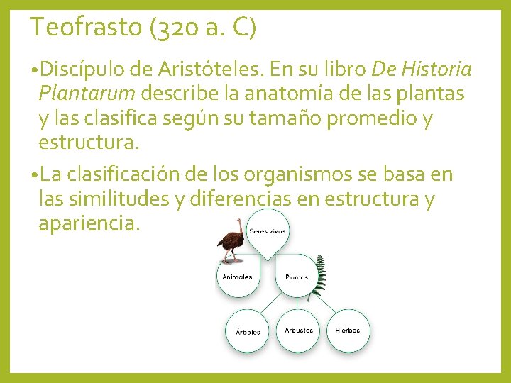 Teofrasto (320 a. C) • Discípulo de Aristóteles. En su libro De Historia Plantarum