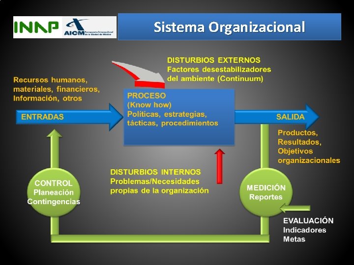 Sistema Organizacional 